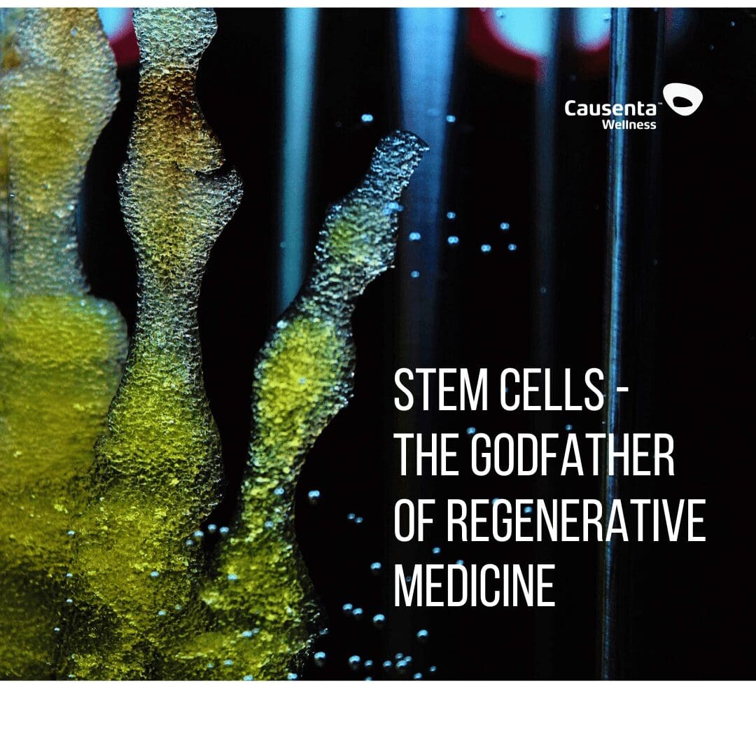 Stem Cells – The Godfather of Regenerative Medicine