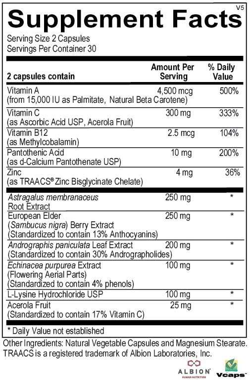 Immune Support Astragalus Root, Elderberry and Echinacea