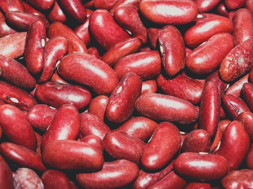 Hypoallergenic Cookbook: Bison Black Bean Chili