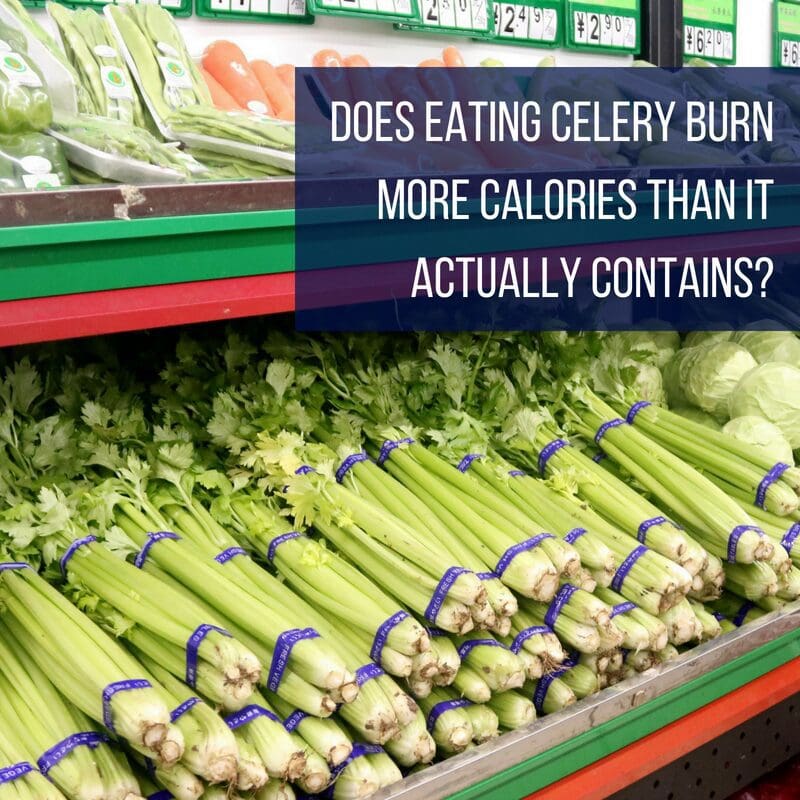 Does eating celery burn more calories than it actually contains? Causenta Cancer Treatment