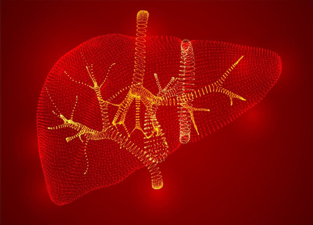 Vector abstract background of dots and glows. human liver. Cancer Types We Treat